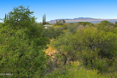 1243 E Aldwinkle Place, Oracle, AZ 85623 - photo 7