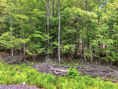 TBD Boulder Brook Lot 13b Rd, Windham, NY 12496 - photo 3
