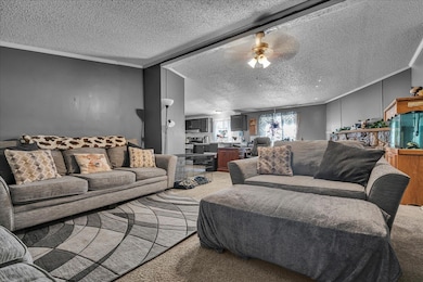04-WMlafayette-19