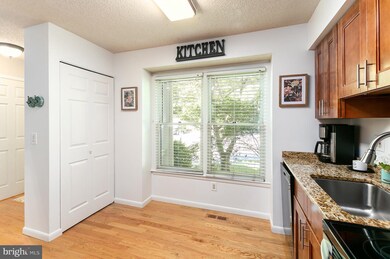 1413 Newport Spring Ct, Reston, VA 20194 - photo 4