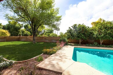 Grassy play area