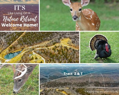 Table Rock Lake Acreage