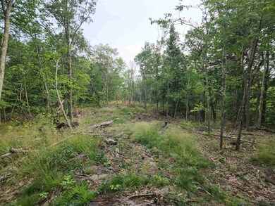 00 Monroe Rd unit 19, Bath, NH 03740 - photo 2