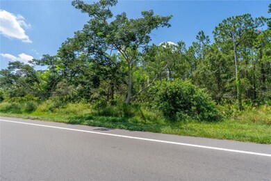 0 Us Highway 98 W, Frostproof, FL 33843 - photo 3