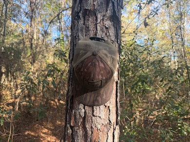 County Rd 1143, Troy, AL 36079 - photo 5