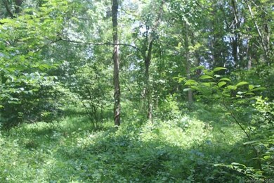 59 Wesley Dr, Leicester, NC 28748 - photo 6