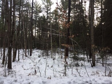 Nicely wooded lot with many choices for suitable b