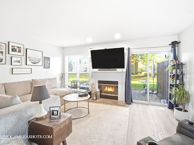 30 Arbordale Ct unit 4284, Algonquin, IL 60102 - photo 7