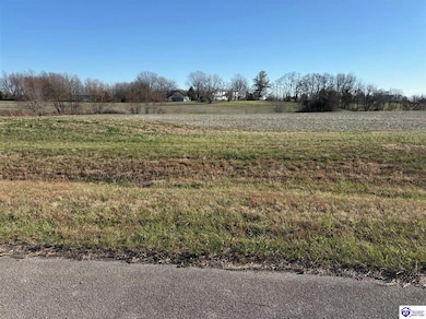 190 Owl Creek Dr, Vine Grove, KY 40175 - photo 2