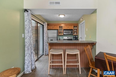 755 Laurelwood Condos, Wintergreen Resort, VA 22967 - photo 6