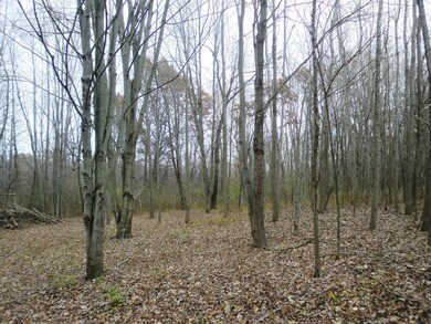 Woods - East View