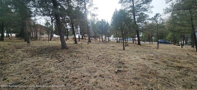 unlisted-address, Ruidoso, NM 88345 - photo 6