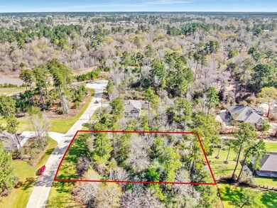 25210 Melanie Pointe, Tomball, TX 77375 - photo 5