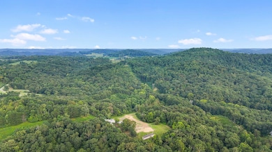 690 Bill Stephens Rd unit Tract 4, Mount Vernon, KY 40456 - photo 3