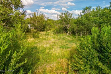 450E4thSt-Eagar-AZ-9