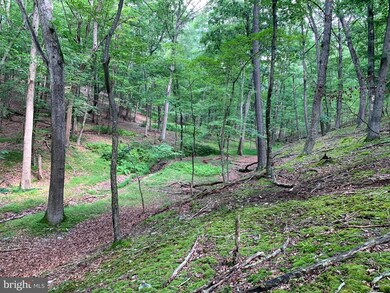 0 Beech Ln unit WVHD106246, Baker, WV 26801 - photo 6