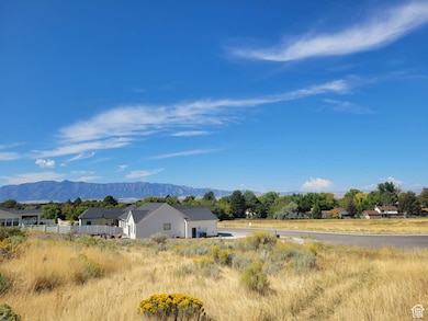 View of mountain background