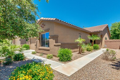 858 W Trellis Rd, San Tan Valley, AZ 85140 - photo 3