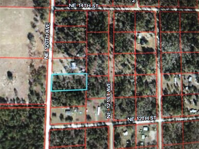 0 NE 120th Ave unit OM634814, Williston, FL 32696 - photo 3