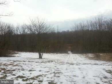 115 Peach Tree Ln, Bunker Hill, WV 25413 - photo 5