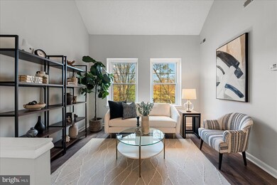 2950 S Columbus St unit C1, Arlington, VA 22206 - photo 4