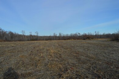 28.98+/- acres of mostly open rolling land.