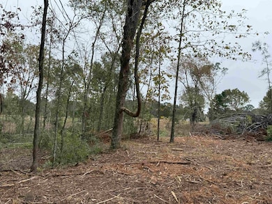 TBD Cr 314 - 15 Acres, Henderson, TX 75652 - photo 5