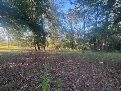 004-00426-001 Harding Blvd, Cotter, AR 72626 - photo 5