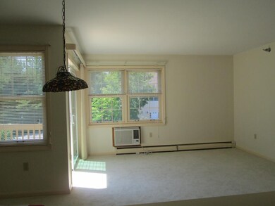 332 Parkside Rd unit 17, New London, NH 03257 - photo 4