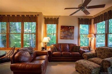 10 Stoney Falls Loop unit 4-201, Burnsville, NC 28714 - photo 5