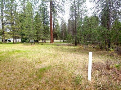 183 E Trappers Loop, Chewelah, WA 99109 - photo 7