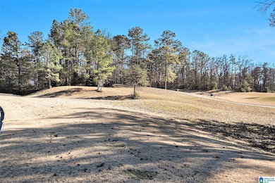 501 Timberline Trail, Calera, AL 35040 - photo 7