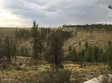 4675 Lookout Point Rd unit 117, Happy Jack, AZ 86024 - photo 6