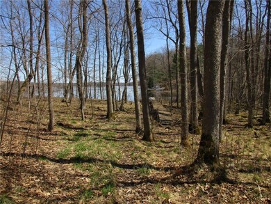 n 923 Sunrise Point, Chetek, WI 54728 - photo 5