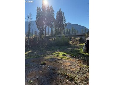 91241 Blue River Rd, Blue River, OR 97413 - photo 3