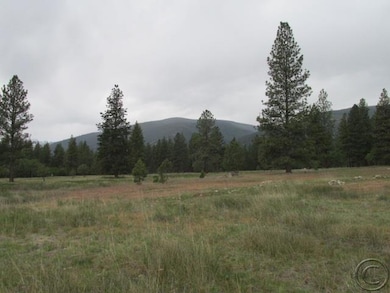 373 Old Bentham Ln, Florence, MT 59833 - photo 5