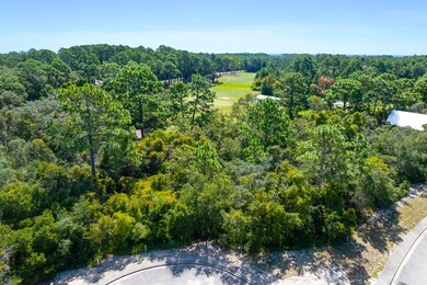 110 Spoonbill Ct, Carrabelle, FL 32322 - photo 7