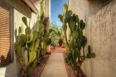DSF_0832A