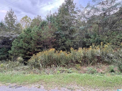 0 Lost Creek Cir, Remlap, AL 35133 - photo 2