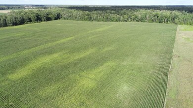 130 N Hale Rd, Twining, MI 48766 - photo 5