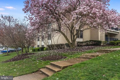 1002 Primrose Rd, Annapolis, MD 21403 - photo 3