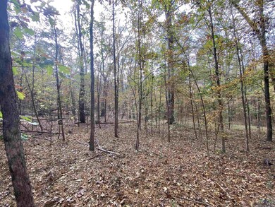 TBD Driftwood, Jefferson, TX 75657 - photo 5