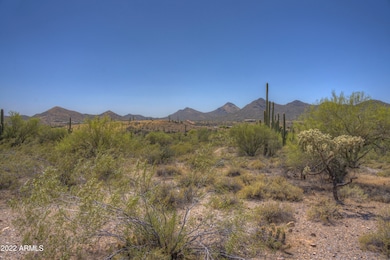 View From Your Patio