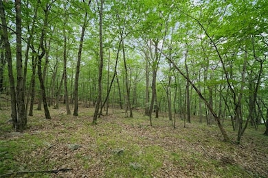 0 Stag Hill Rd unit KEY894287, Monroe, NY 10950 - photo 6