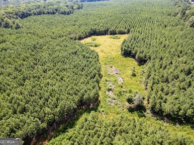 0 7 Island Rd unit 10560556, Monticello, GA 31064 - photo 5