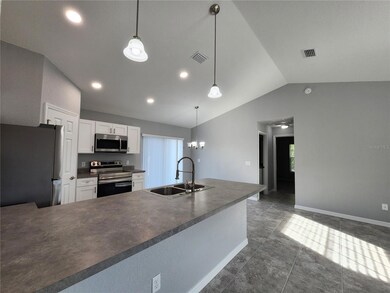 4061 SW 130th Loop, Ocala, FL 34473 - photo 5