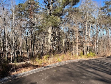 Lot 14 Fairview Way, Blue Ridge, GA 30560 - photo 2