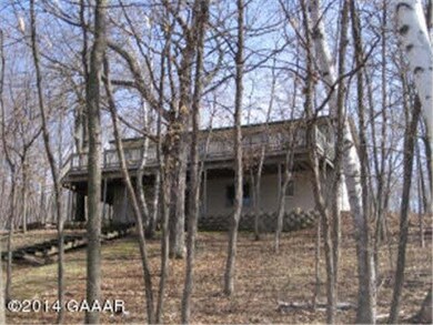 7251 7251 Blackwell Dr SW, Holmes City, MN 56341 - photo 2