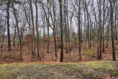 19 Cortez Dr unit U51, Nashua, NH 03062 - photo 5