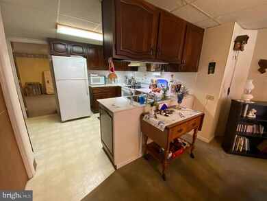 554 Kulps Rd, Barto, PA 19504 - photo 7